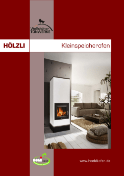 H&Ouml;LZLI Kleinspeicherofen