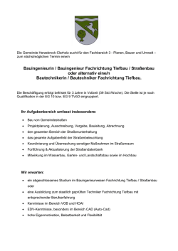 Eine detaillierte Stellenausschreibung ist unter diesem Link zu finden.