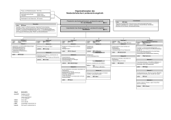 Organisationsplan des Niedersächsischen Landesrechnungshofs