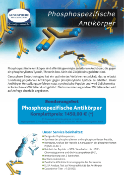 Phosphospezifische Antikörper