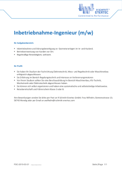 Inbetriebnahme-Ingenieur (m/w)