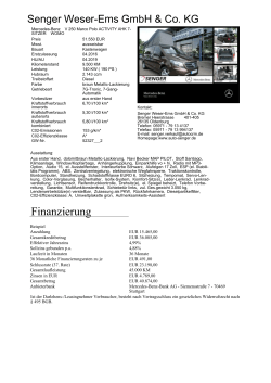 PDF-Druckansicht