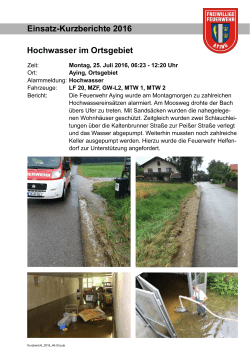 Einsatz-Kurzberichte 2016 Hochwasser im