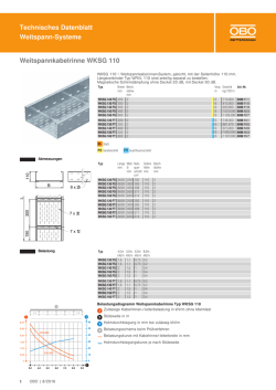 Technisches Datenblatt Weitspann-Systeme