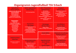 (Microsoft PowerPoint - Organigramm Jugendfu\337ball TSV