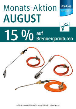 Monats-Aktion August 15 % auf Brennergarnituren