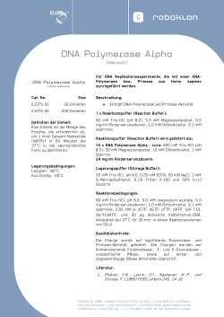 DNA Polymerase Alpha