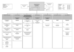 Organigramm der Steuerberaterkammer K&ouml;ln