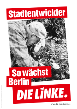 PDF-Download: Plakat Stadtentwicklung