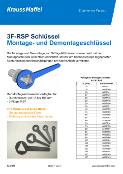 3F-RSP Schlüssel
