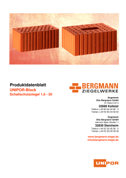Bergmann UNIPOR Block-Schallschutzziegel 1,6