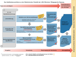 Grafik Verfahren Habilitation - des Klinikums