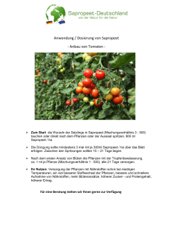 Anwendung / Dosierung von Sapropeet - Anbau von Tomaten -