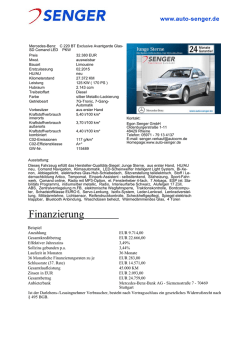 PDF-Druckansicht