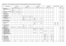 Regelstudien- und Prüfungsplan Dualer Bachelor