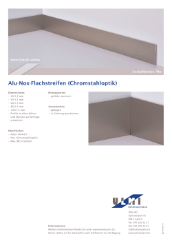 Alu-Nox-Flachstreifen (Chromstahloptik)