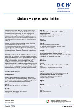 Elektromagnetische Felder