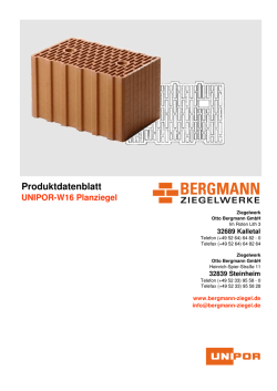 Bergmann UNIPOR Planziegel W16