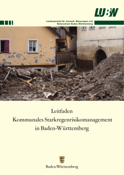 Leitfaden Kommunales Starkregenrisikomanagement in Baden