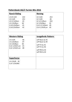 Patternbook AQ/C Turnier Bitz 2016 Ranch Riding Reining Western