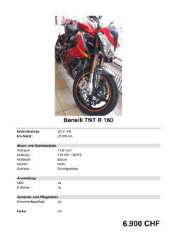 Detailansicht Benelli TNT R 160