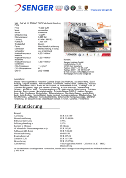 PDF-Druckansicht