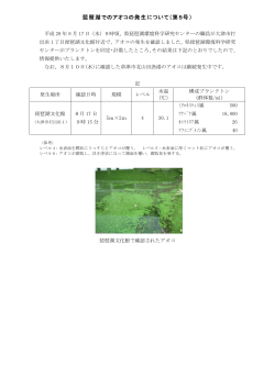 琵琶湖でのアオコの発生について（第5号）