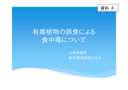 資料4（PDF：437KB）