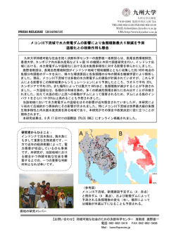 メコン川下流域で水力発電ダムの影響により魚類種数最大 6 割減を予測