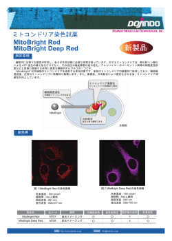 新製品 - 同仁化学研究所