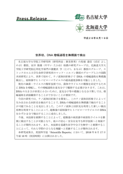 世界初、DNA 増幅過程を無標識で検出
