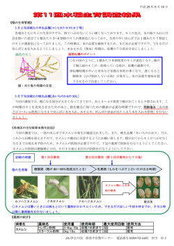 薬剤名 使用量 使用時期 最大使用回数 使用方法