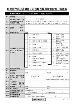 実態調査票（修正版） - 新発田市ホームページ