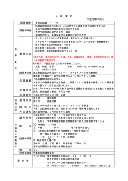 募集職種 雇用期間