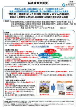 別紙1（受賞内容） (PDF形式：444KB)