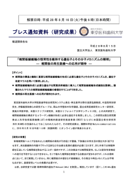 椎間板線維輪の恒常性を維持する遺伝子とその