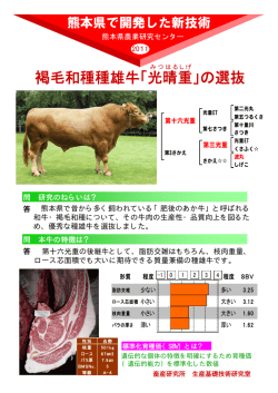 褐毛和種種雄牛「光晴重」の選抜