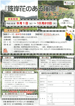 フォトコンクールPDF