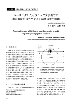 願 強い場とガラスの応答 ー