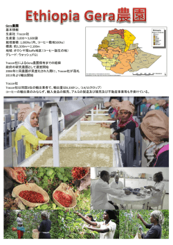 Gera農園 基本情報 生産社：Tracon社 生産量：3,000～3,600袋 栽培