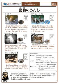 動物のうんち