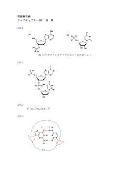 問題解答編 ウェブチャプター23C 核 酸 23C.1 (b) はリボヌクレオチドで