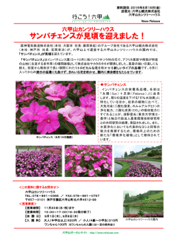 詳しいリリースはこちら - 六甲山ポータルサイト Rokkosan.com