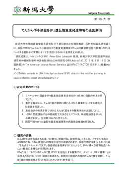 リリースファイル