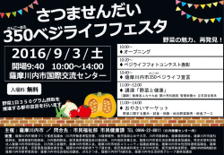 フェスタチラシ(PDF文書)