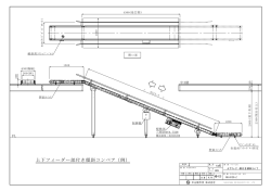 上下フィーダー部付き傾斜コンベア（例）