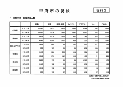 資料3 甲府市の現状（PDF：861KB）