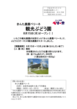 概要（PDF）