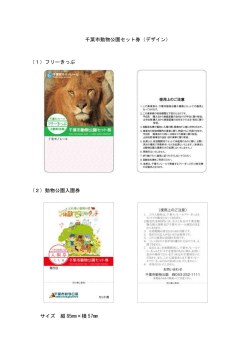 千葉市動物公園セット券（デザイン） （1）フリーきっぷ （2）動物公園入園券