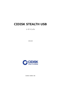 CIDISK STEALTH USB
